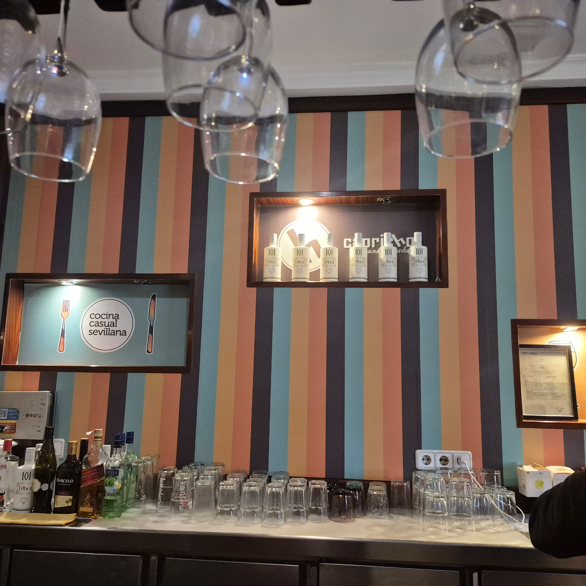 WhatsApp Image 2026-02-07 at 17.24.09